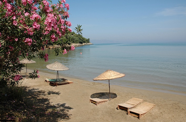 İlkbaharın En Çiçekli Rotası: Kuşadası