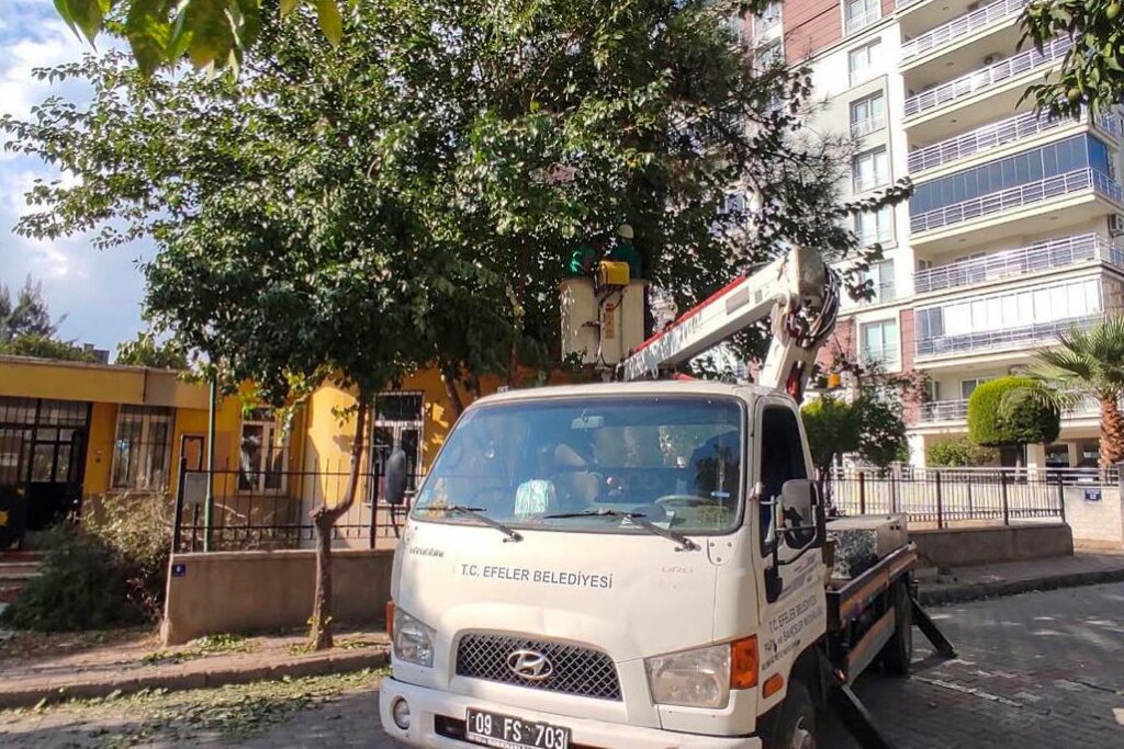 Başkan Yetişkin’in Öncülüğünde Efeler’in Yeşil Alanlarına Özenli Dokunuş
