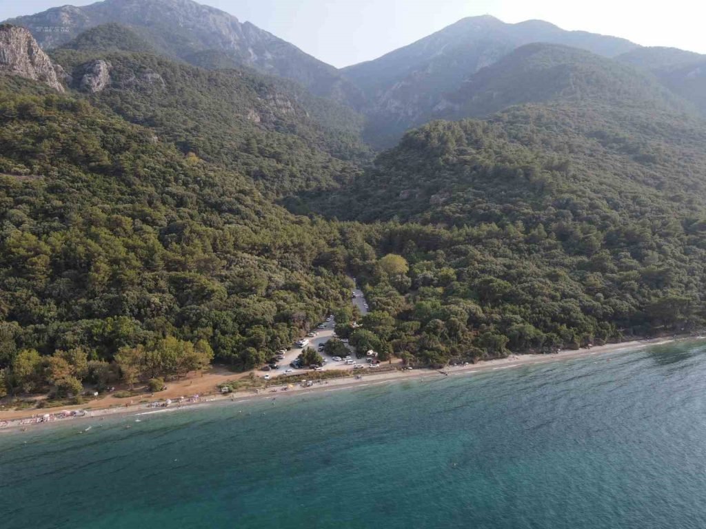 Aydın’da 1 yılda 20 bin gelir getirici fidan toprakla buluştu