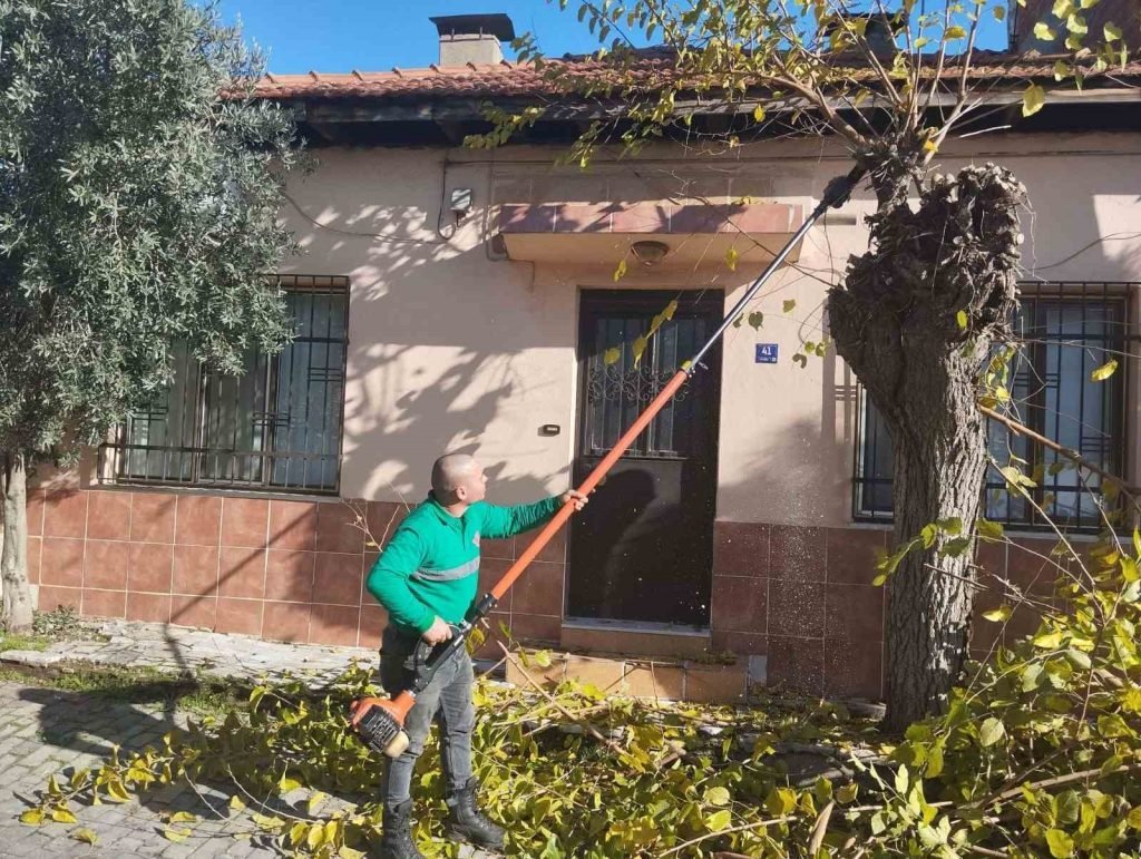 Efeler’de ağaç budama çalışmaları sürüyor