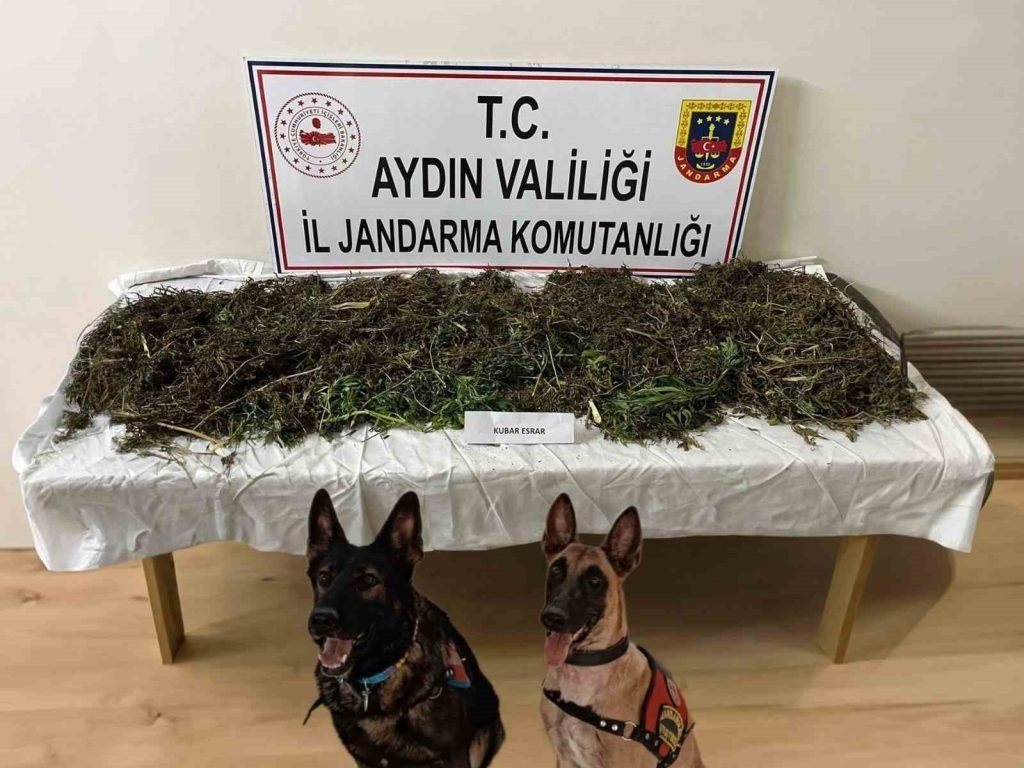 Koçarlı’da uyuşturucu operasyonu: 2 tutuklama