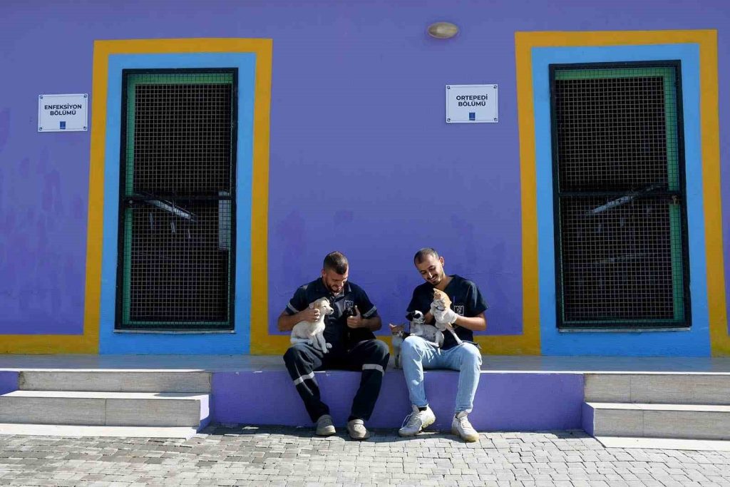 Kuşadası’nın sokak hayvanları sevgi ve müziğin gücüyle iyileşiyor